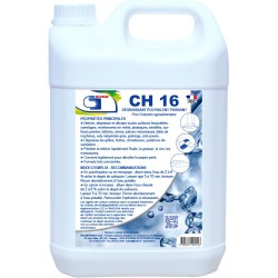 CH 16